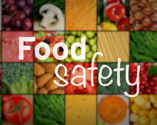 Present and Future of Food Safety