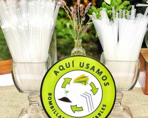 First 100% organic and compostable straw made in Chile